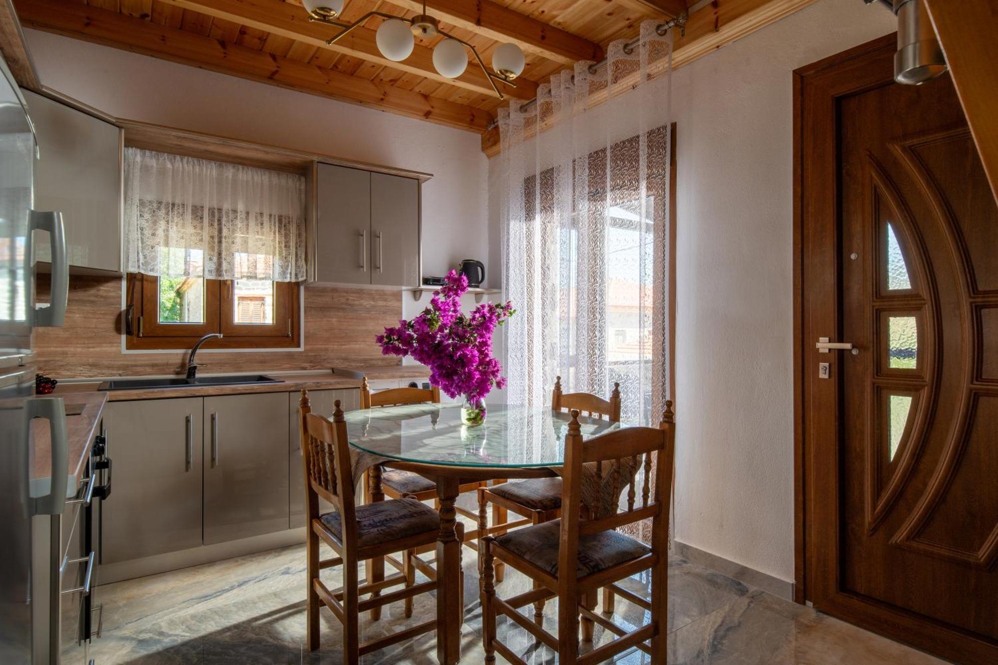 House Draganis Villa Sykia Dış mekan fotoğraf