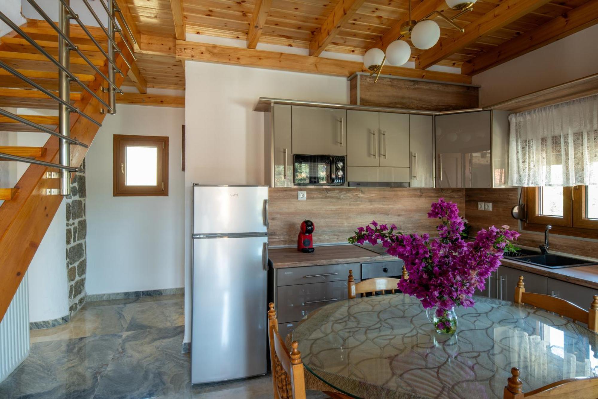 House Draganis Villa Sykia Dış mekan fotoğraf